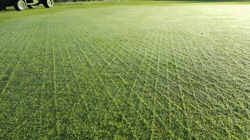 Johnsons J All Bent Mixture Leads To Sustainability