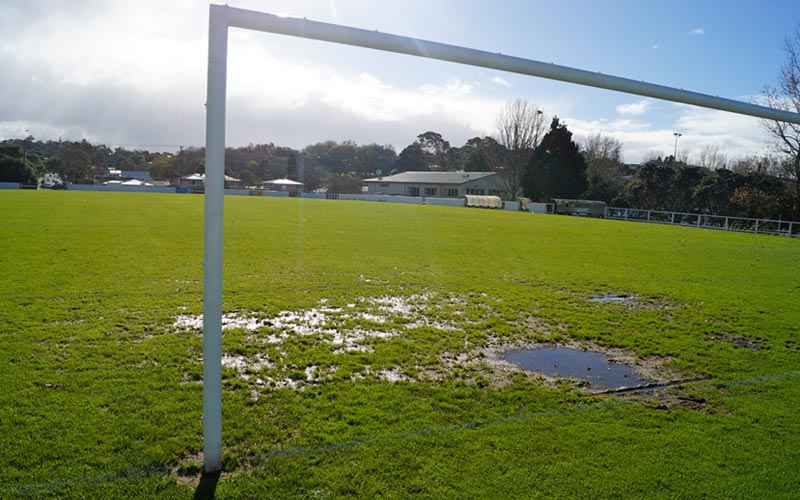 FA Survey Reveals Pitch Concerns Among Players