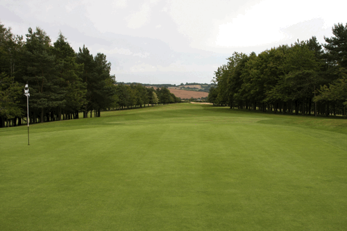 Cotswold Hills Golf Club Benefits From Limagrain