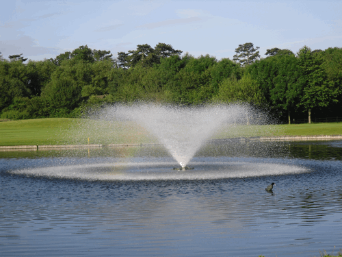 Greenkeepers Urged To Pre-Empt Water Quality Issues