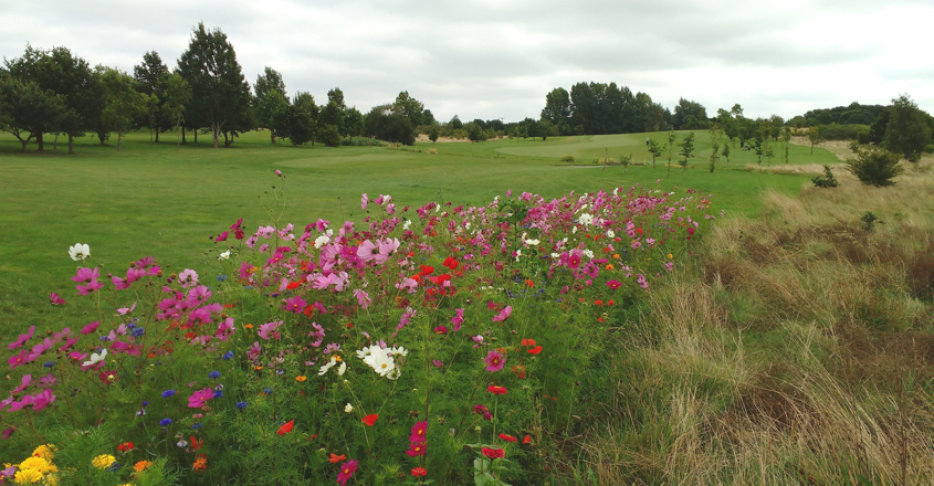 Henley GC splashes some colour into the course