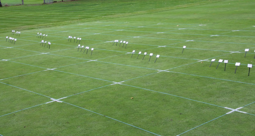 Fungicide treatments excel in STRI trials
