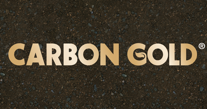 Carbon Gold seeks strategic partner