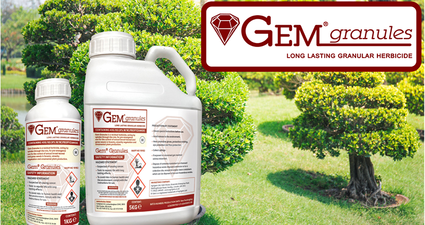 Gem Granules back after two year absence
