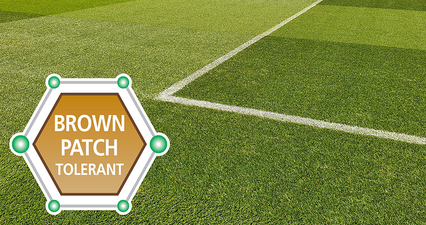 Sustainability at the forefront of new DLF mixtures