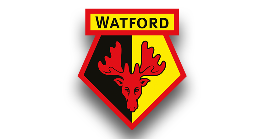 Watford FC seeking a Senior/Skilled Grounds Person