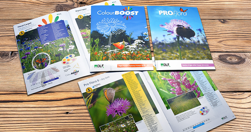 New Pro Flora and Colour Boost Catalogues from DLF