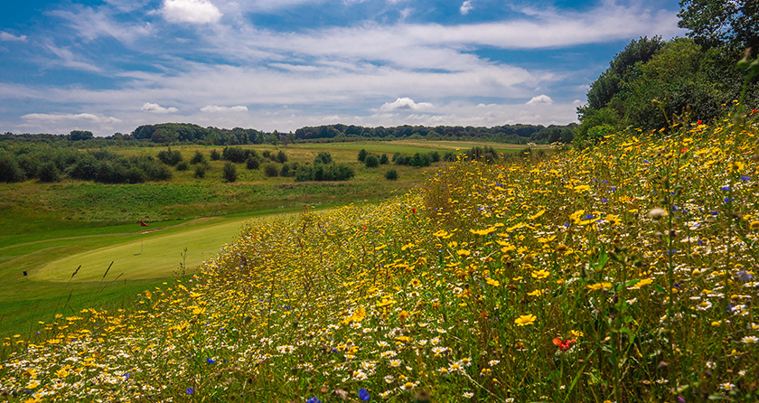 Operation Pollinator helps Farleigh GC to achieve England Golf sustainability accolade