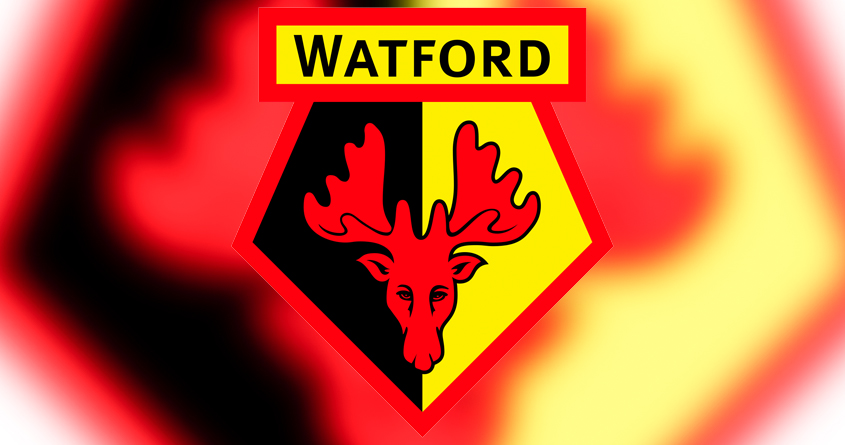 Job Vacancy: Groundsperson, Watford Football Club