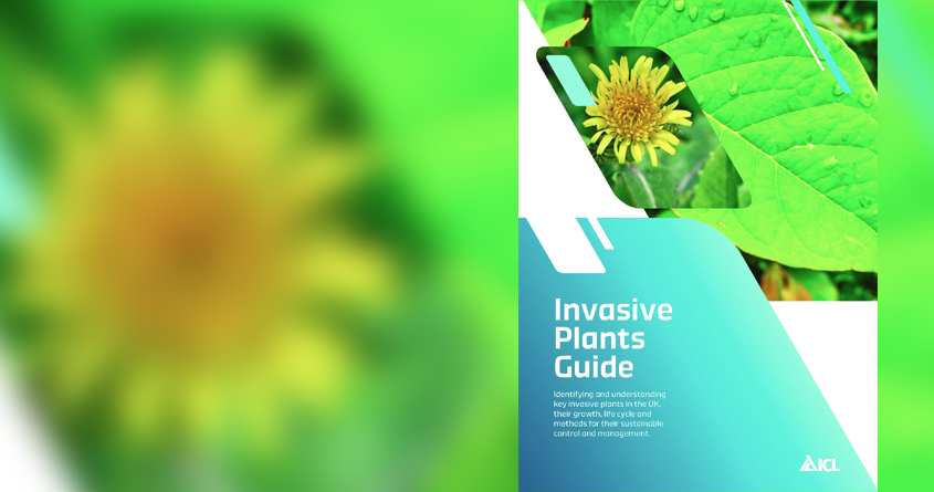 ICL publishes free comprehensive Invasive Plants Guide