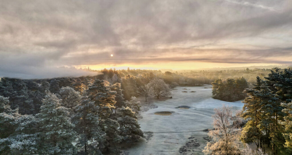 Midwinter Norfolk morning wins annual golf greenkeeping photographic competition