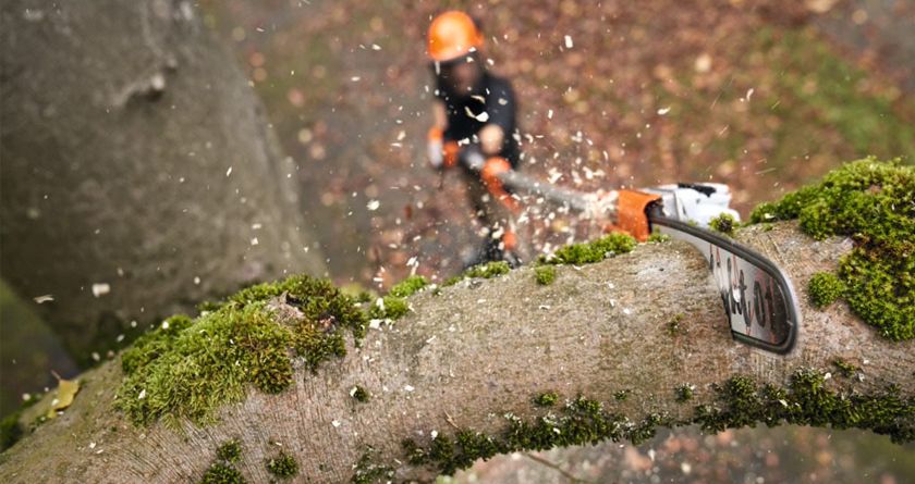 STIHL launches its most powerful battery pole pruners to date