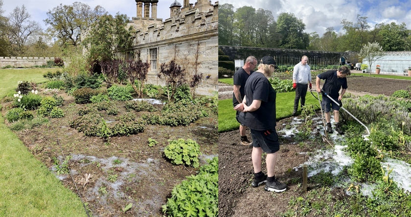 Floors Castle turn to Foamstream for non-chemical weed control