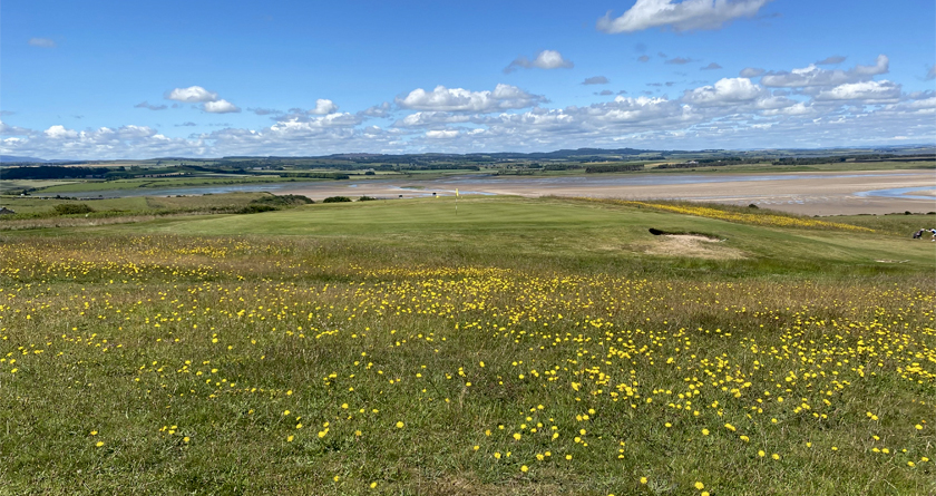 Finalists of Golf Environment Awards 2025 are revealed