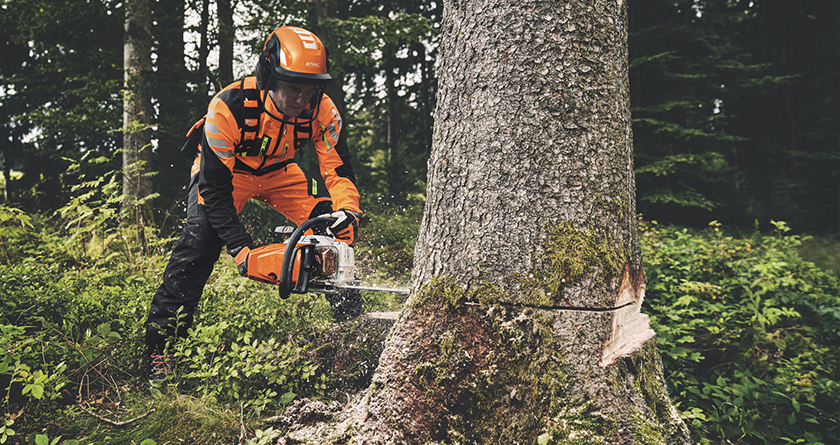STIHL set new standards in the 60cc class