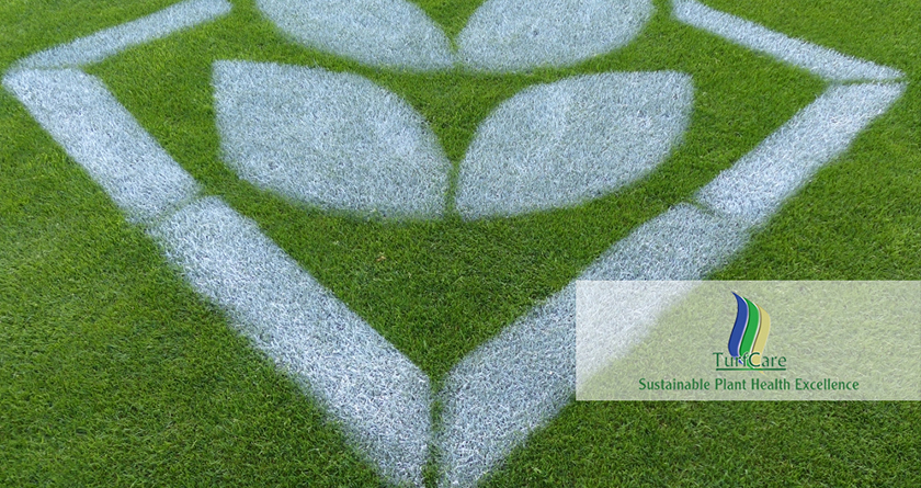 TurfCare appointed as new UK distributor for DSV