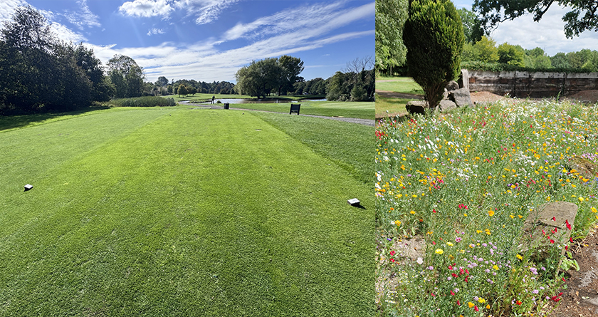 Bristol Golf Club sees improvement with innovative seed solutions from DLF