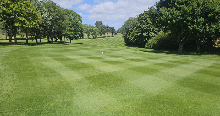 Consolidate Turf celebrate 20 years at BTME 2026