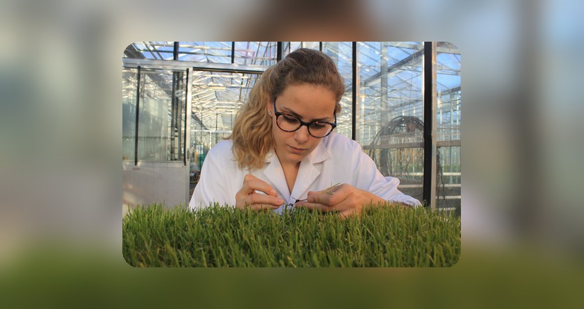Cultivating resilience