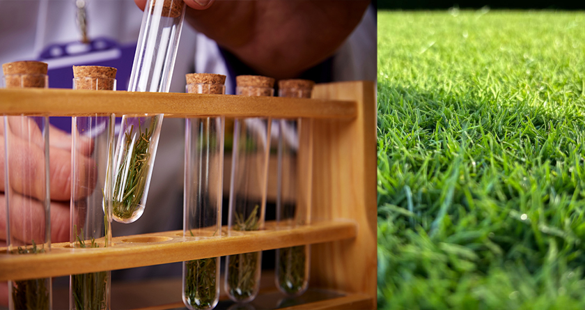 SIS Pitches Unveils Bio-X™: 100% biodegradable fiber for hybrid sports pitches