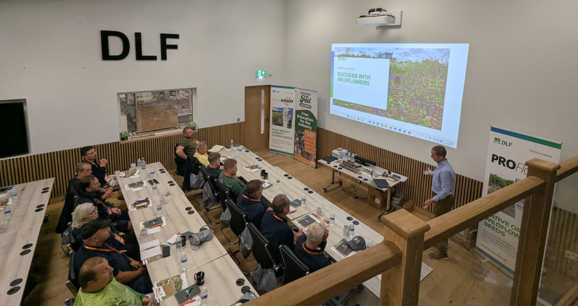GroundsFest Academy continues to deliver as DLF wildflower event inspires